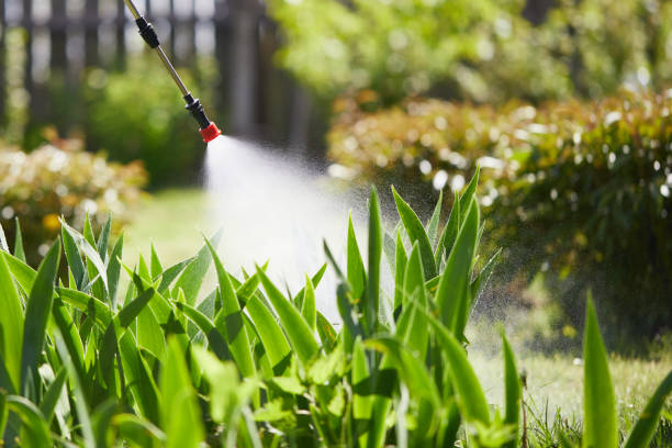 24/7 Emergency Mosquito Control experts in Farm Loop, AK