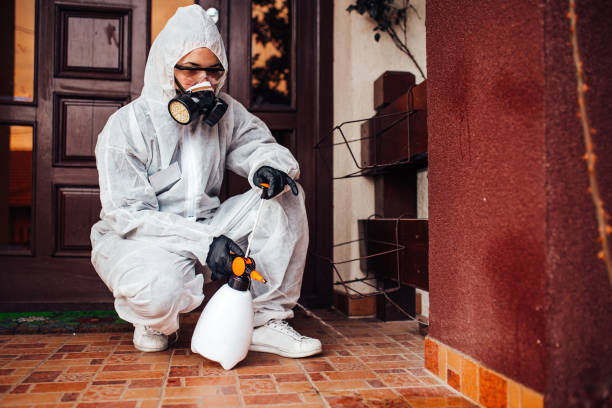 Reliable Mosquito Control contractor in Farm Loop, AK by Show Me Pest Control